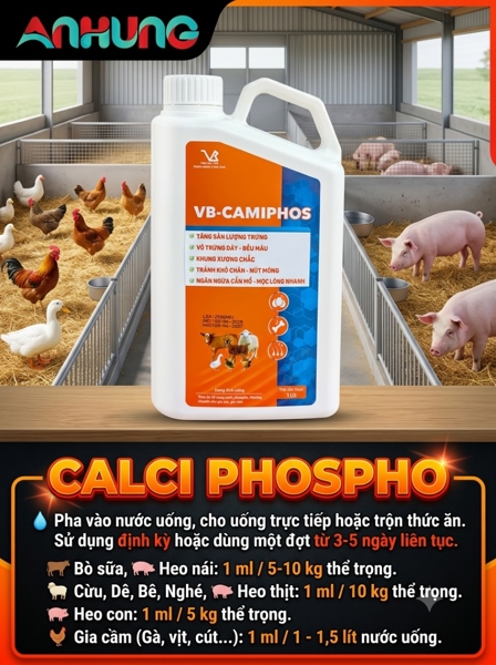 VB CAMIPHOS 1 Lít - Canxi, Phospho, Zn, Fer, Mn, B6, B12... - Can - Ảnh 5