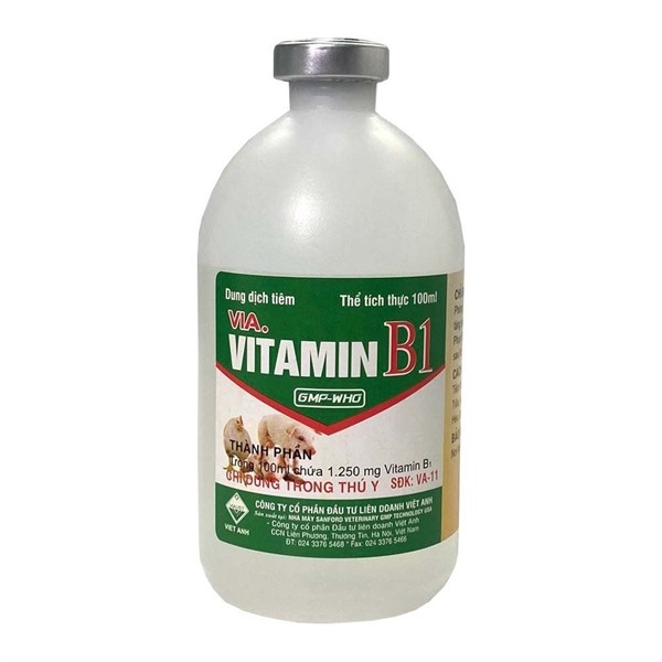 Viavet Vitamin B1 100ml - Lọ - Ảnh 2