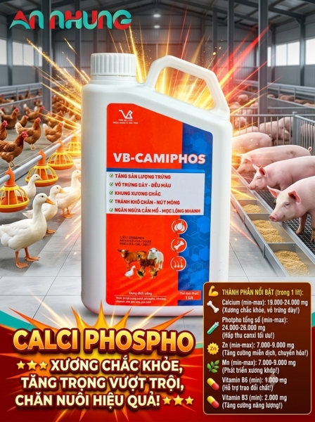 VB CAMIPHOS 1 Lít - Canxi, Phospho, Zn, Fer, Mn, B6, B12... - Can - Ảnh 3