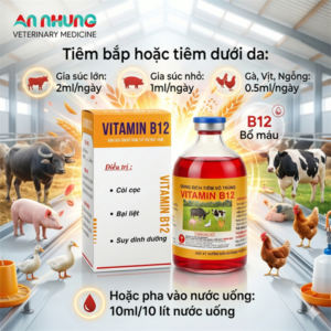 Alternative view of MINH HUY VITAMIN B12 - 100ml - Chai 100 ml