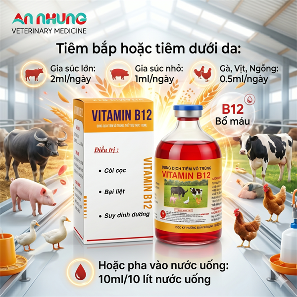 MINH HUY VITAMIN B12 - 100ml - Chai 100 ml - Ảnh 2