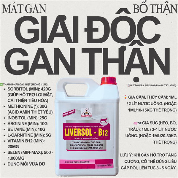SAGOPHAR LIVERSOL B12 5 Lít - Can - Ảnh 4