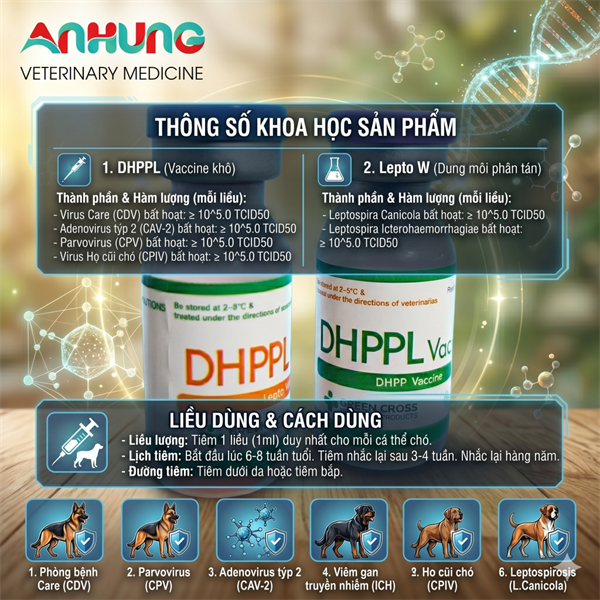Vaccine Tigervet DHPPL - 6 bệnh Chó - Cặp - Ảnh 5