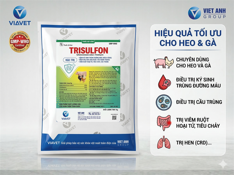 VIA TRISULFON 1 kg - Sulfa Trime - Gói (10in1) - Ảnh 2