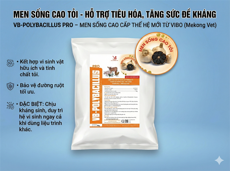 VB POLYBACILLUS PRO - Men Cao Tỏi 1kg - Gói 10in1 - Ảnh 5