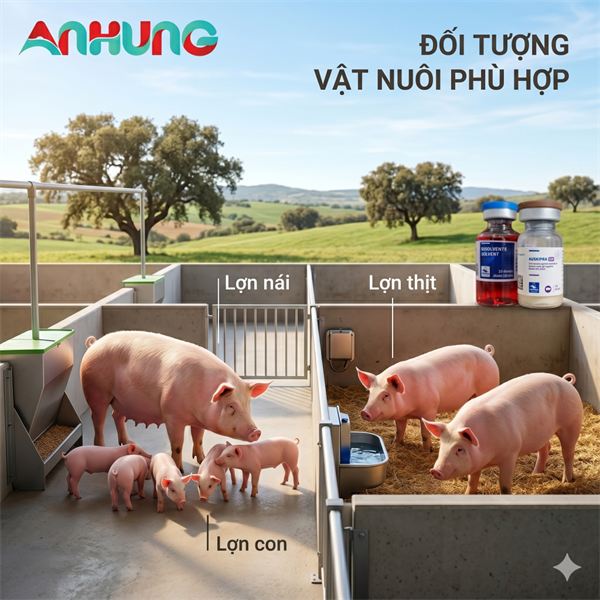 Vaccine Hipra - Auskipra GN - 10 Liều - Lọ - Ảnh 3