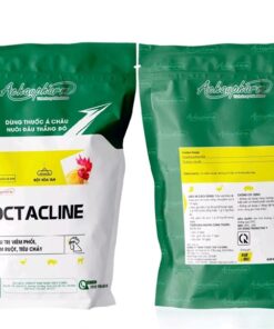 Alternative view of Á CHÂU - OCTACLINE ( Oxytetracylin 80%) - 1kg - Gói 10 in 1