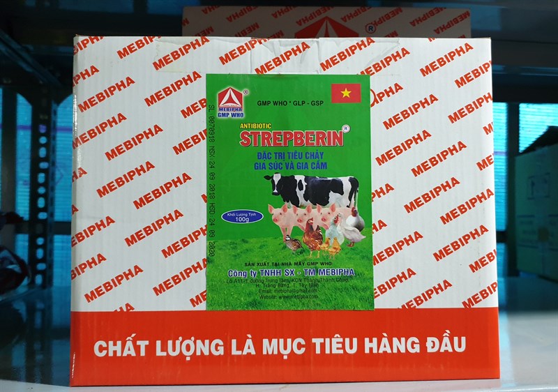 Mebipha Strep Berin - Gói 100gr