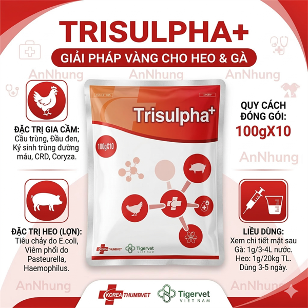 TIGERVET TRISULPHA+ 100gr - Gói - Ảnh 3