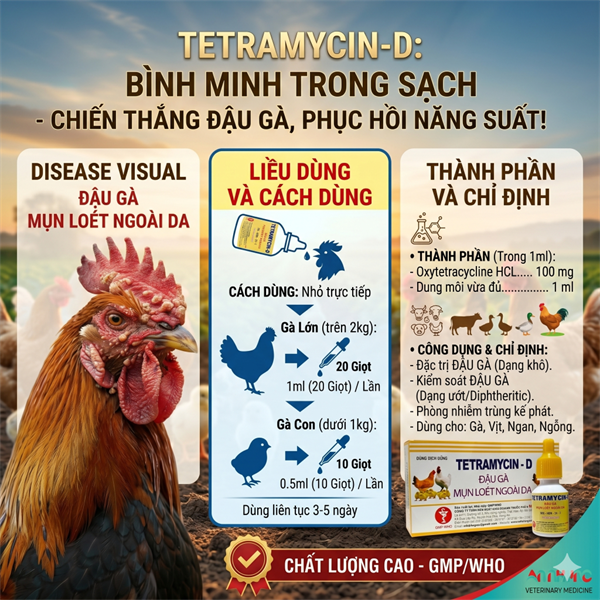 Minh Huy Teramycin (Đậu Gà) 10ml - Hộp 10 lọ - Ảnh 4