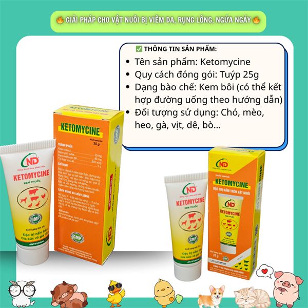 ND Ketomycin (Bôi Nấm) 25gr - Tuýp - Ảnh 2