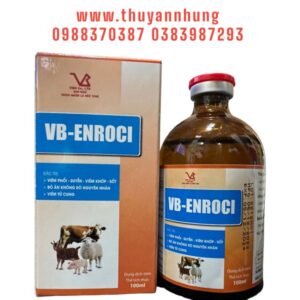 Alternative view of VB ENROCIN ( ENRO 20%) - Lọ 100ml
