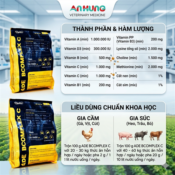 (CH56) Á CHÂU ADE BCOMPLEX C (Black Yelow) - Gói - Ảnh 3