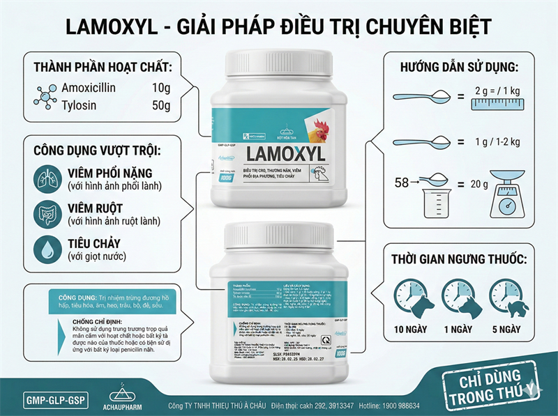 Á Châu Lamoxyl 100gr/Hũ - Amox Tylo hàm lượng cao - Lon 100g - Ảnh 3