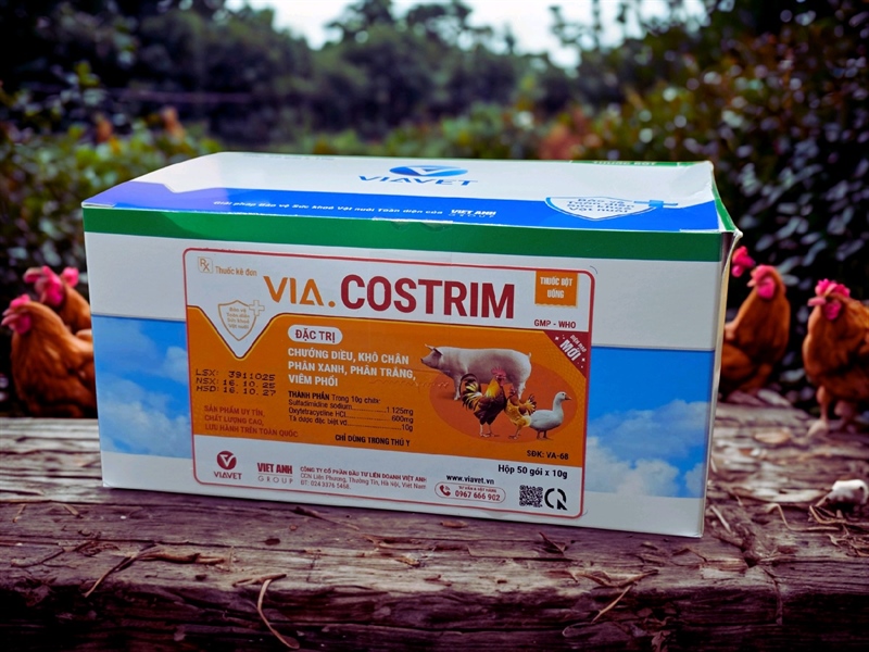 VIAVET Costrim 10gr - Hộp 50 gói