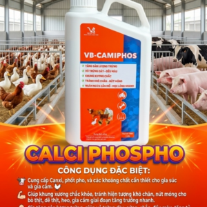 VB CAMIPHOS 1 Lít - Canxi, Phospho, Zn, Fer, Mn, B6, B12... - Can