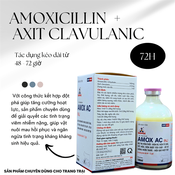 SAGOPHAR AMOX AC (Axit clavulanic - Chống lờn thuốc) - TRẮNG (N) - CHAI 100ML