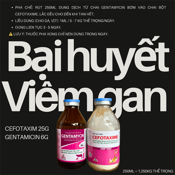 SAGOPHAR - CEFOTAXIM + GENTAMYCIN - Cặp tiêm Vịt Gà - Cặp 250ml
