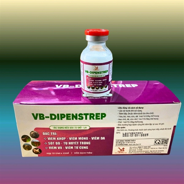 Vibo - Pen Strep (Di penstrep) Inj - TÍm - Chai 20ml - Ảnh 2