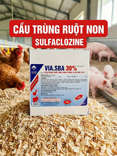 Via SBA 30% 100gr - Sulfaclozine - Gói 100gr
