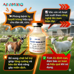 Vaccine Phân Viện- Tụ Huyết Trùng Dê, Cừu - Lọ 10 liều