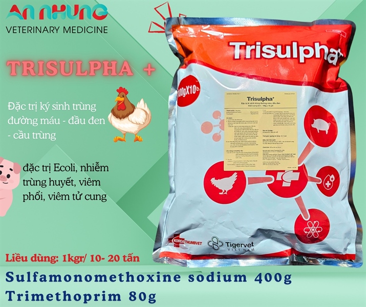 TIGERVET TRISULPHA+ 100gr - Gói - Ảnh 2