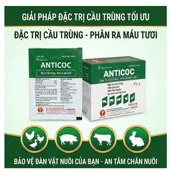 Minh Huy Anticoc 20gr - Gói 20gr - Ảnh 2