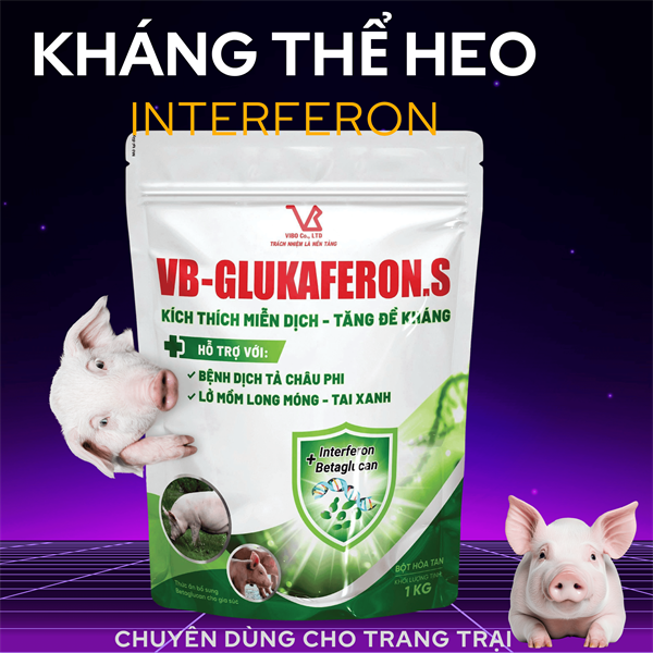 VB GLUKAFERON.S (Heo) 1kg - kháng thể Virus Interferon >70% - Dành cho Heo - 1 kg 10in1 - Ảnh 2