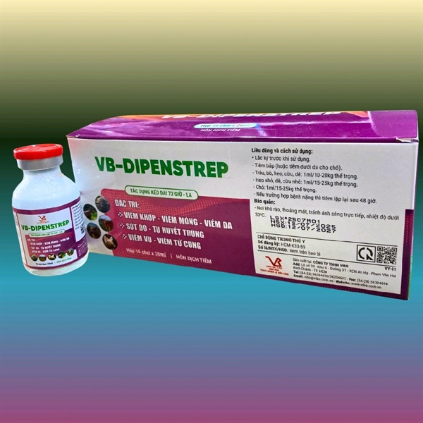 Vibo - Pen Strep (Di penstrep) Inj - TÍm - Chai 20ml