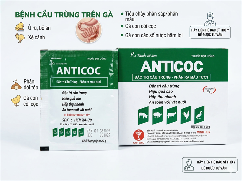 Minh Huy Anticoc 20gr - Gói 20gr - Ảnh 4