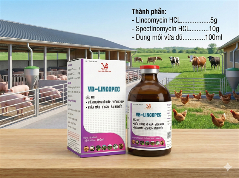 VB LINCOPEC - Lọ 100ml - Ảnh 3