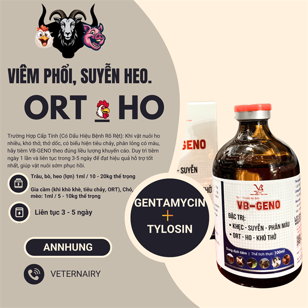 VB GENO ( GENTA TYLO) - Chai 100ml - Ảnh 3