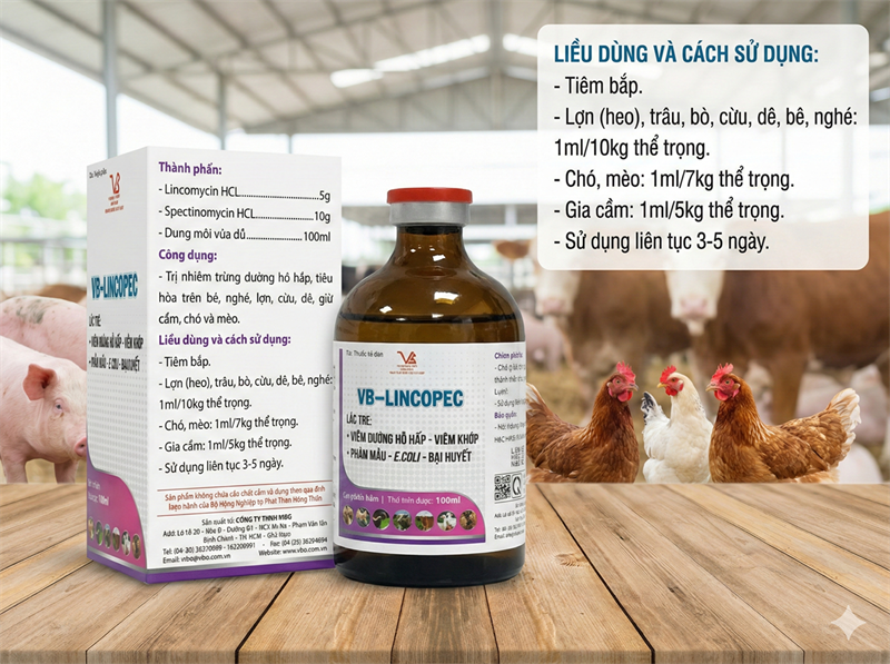 VB LINCOPEC - Lọ 100ml - Ảnh 2