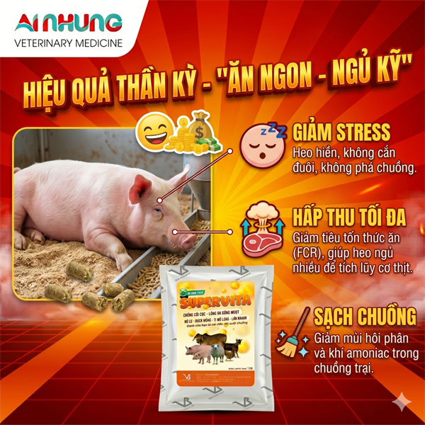 VB SUPER VITA - chống còi cọc, tăng trọng - 1kg - gói/1 kg - Ảnh 4
