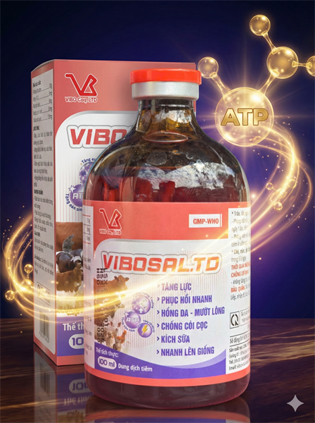 VIBOSAl TD 100ml - Chai 100ml - Ảnh 4