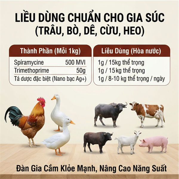 LIKE TTS PLUS 1Kg - Lon 10in1 - Ảnh 5
