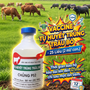 Vaccine Navetco Tụ Huyết Trùng Trâu, Bò (25 Liều) - Lọ 50ml