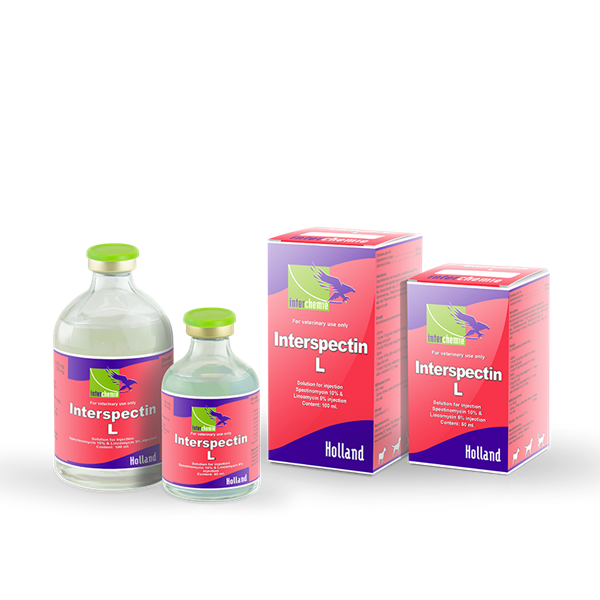 INTERSPECTIN L (Linco Spec) 100ml - Ảnh 2