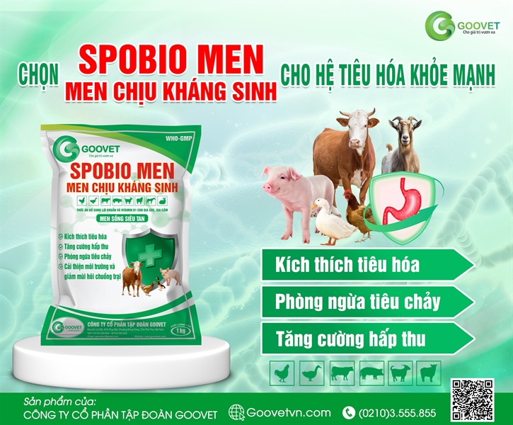 GOOVET SPOBIO - MEN CHỊU KHÁNG SINH 1kg - Gói 5in1 - Ảnh 4