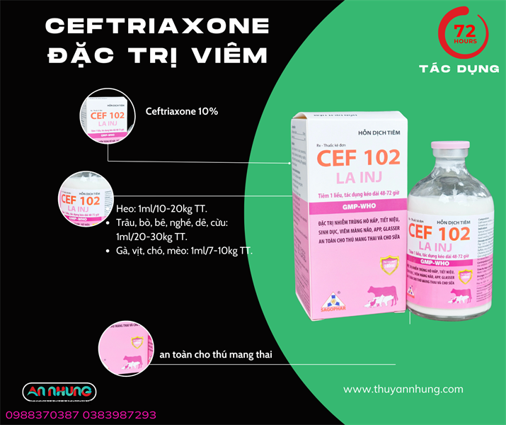 SAGOPHAR CEF 102 LA - 72H - CEFTRI ONE (N) - Lọ - Ảnh 5