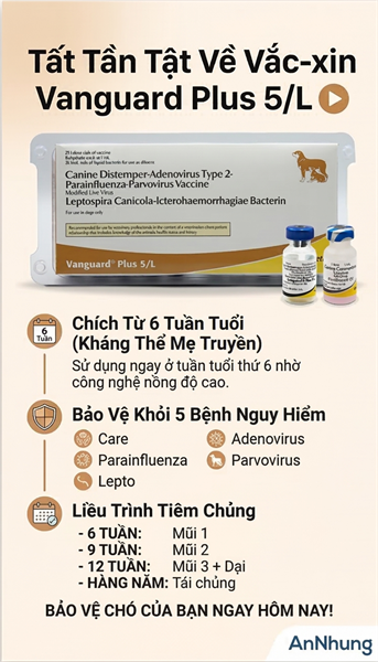 Vaccine Zoetis VanGuard Plus - 5 bệnh chó - Cặp 5Benh - Ảnh 5