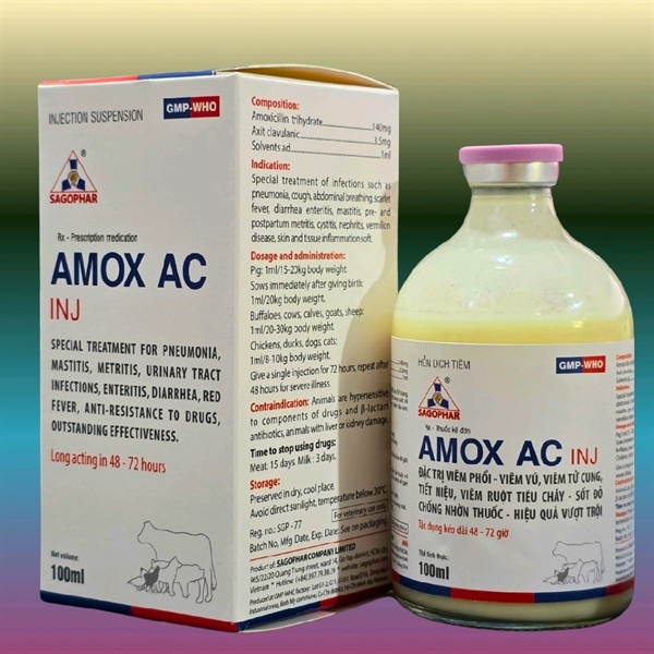 SAGOPHAR AMOX AC (Axit clavulanic - Chống lờn thuốc) - TRẮNG (N) - CHAI 100ML - Ảnh 3