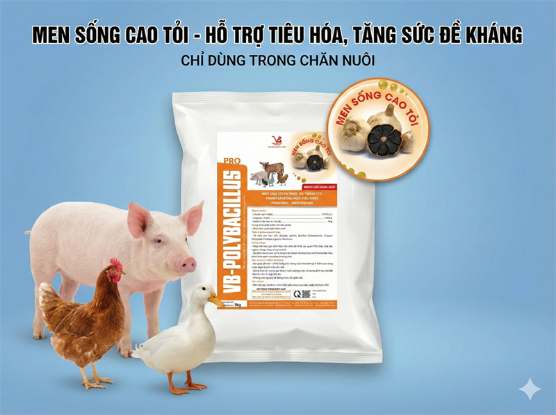 VB POLYBACILLUS PRO - Men Cao Tỏi 1kg - Gói 10in1