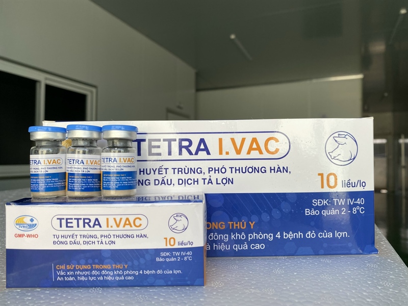 Vaccine Tứ Liên - Tetra I.Vac 10 Liều - Lọ - Ảnh 3