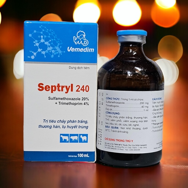 VMD SEPTRYL 240 100ml - Lọ - Ảnh 5