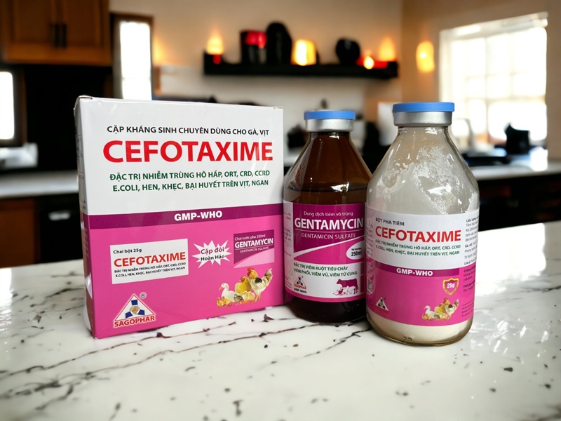 SAGOPHAR - CEFOTAXIM + GENTAMYCIN - Cặp tiêm Vịt Gà - Cặp 250ml - Ảnh 3