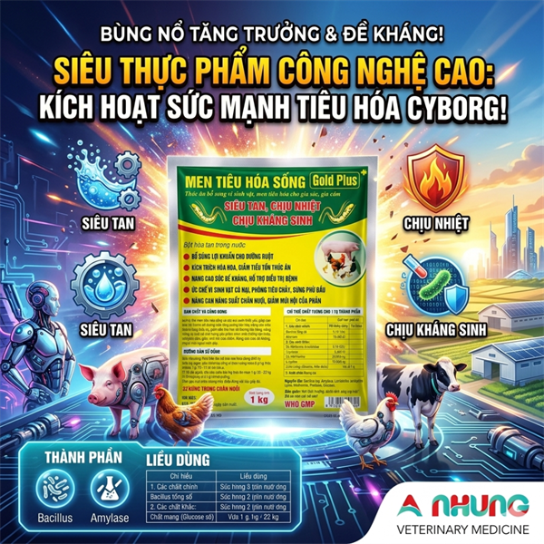 ND MEN TIÊU HÓA SỐNG - GOLD PLUS - 1kg - Gói 5in1 - Ảnh 5