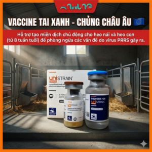 Vaccine Hipra Unistrain PRRS -Tai xanh 10 Liều - Lọ