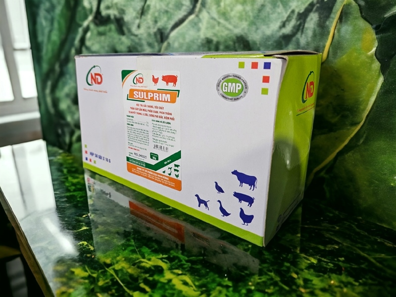 ND Sulprim 10gr - Gói 10gr - Ảnh 5
