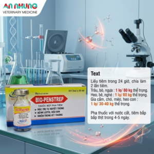 Bio PenStrep 10ml - Hộp 10 lọ